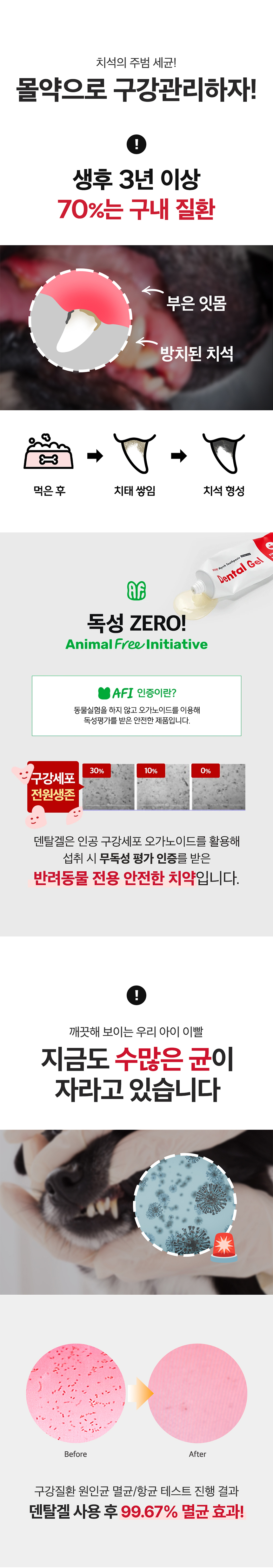 [NEW신상][무료배송] 덴탈겔 바르는 치약 80g 2번째