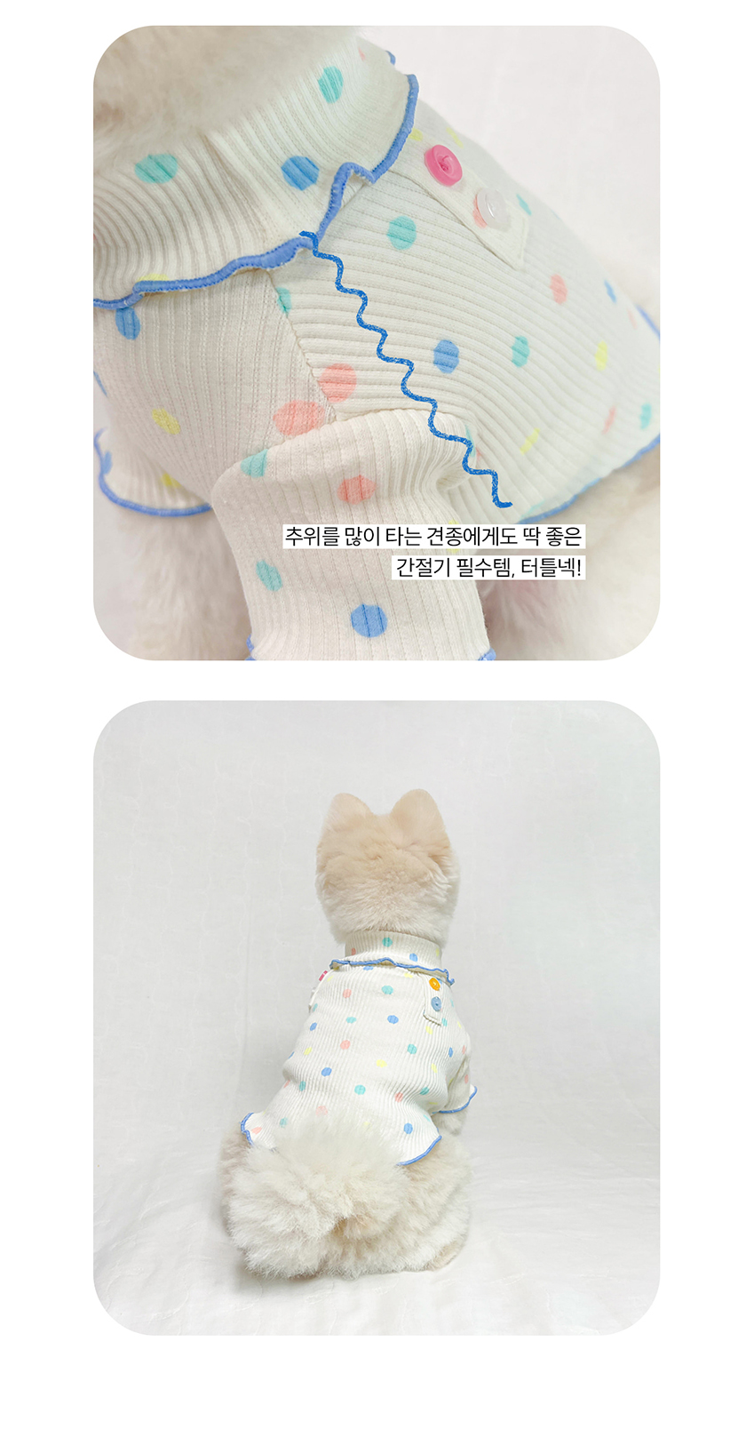 [무료배송] 오드펫 버튼터틀넥 아이보리/민트 S-2XL 4번째