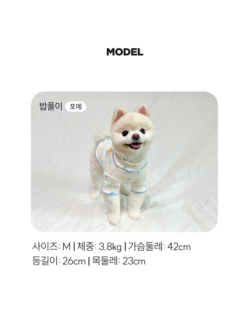 [무료배송] 오드펫 버튼터틀넥 아이보리/민트 S-2XL 8번째