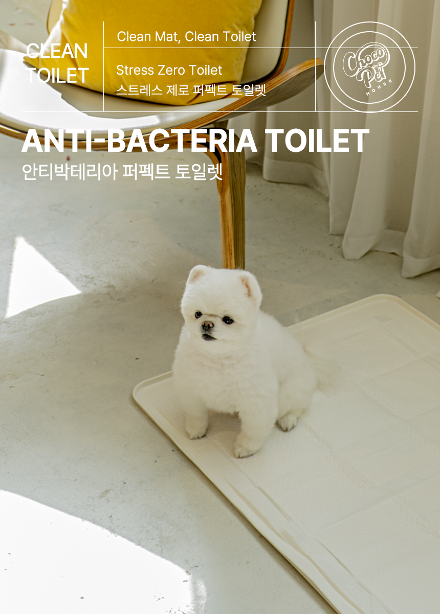 [무료배송] 초코펫하우스 안티박테리아 퍼펙트 토일렛 1번째