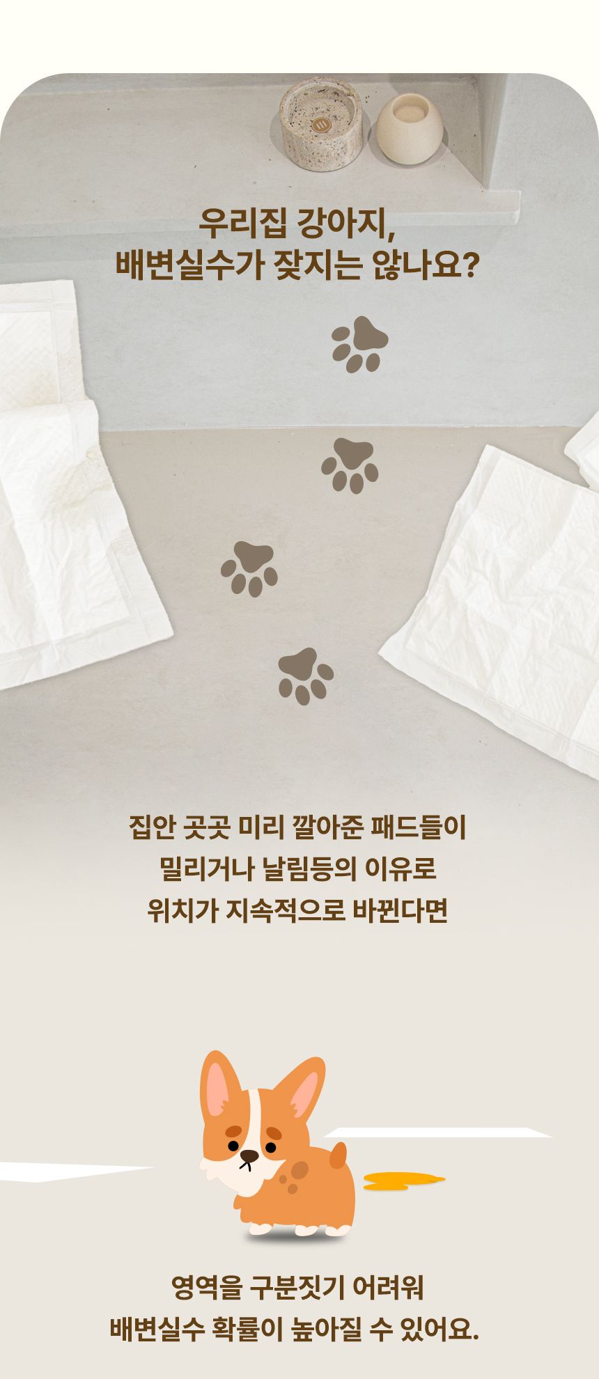 [무료배송] 초코펫하우스 안티박테리아 퍼펙트 토일렛 13번째