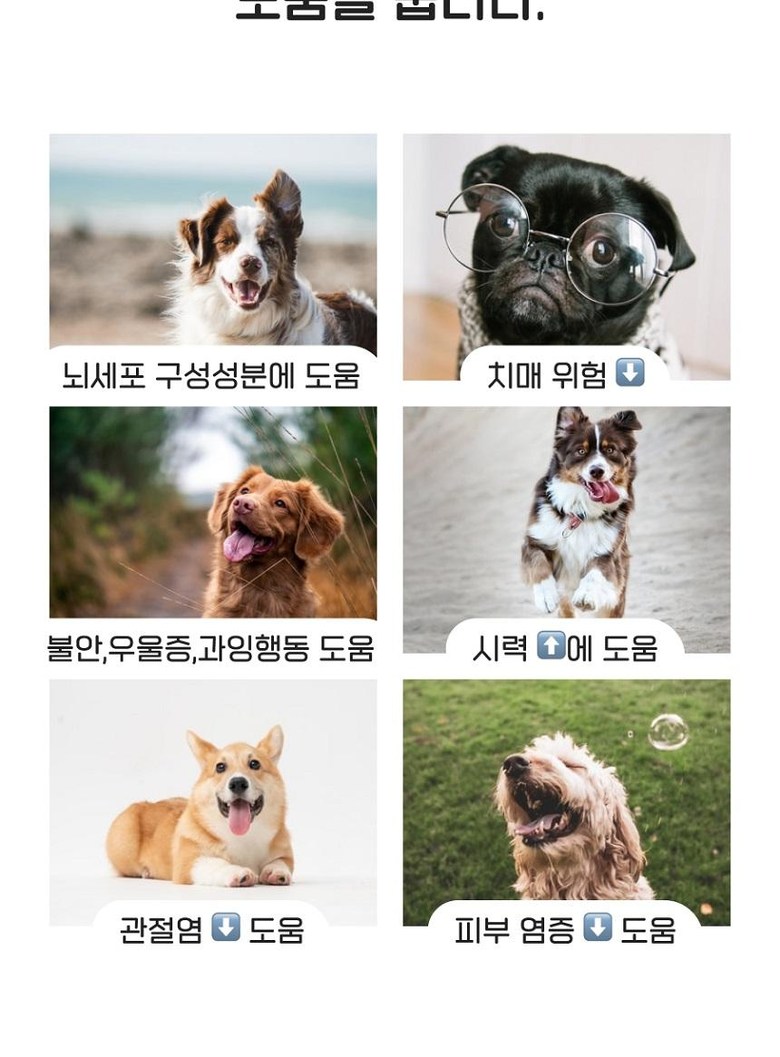 [무료배송] [3개] 오래살개 하루오메가 오리지널 70g 5번째