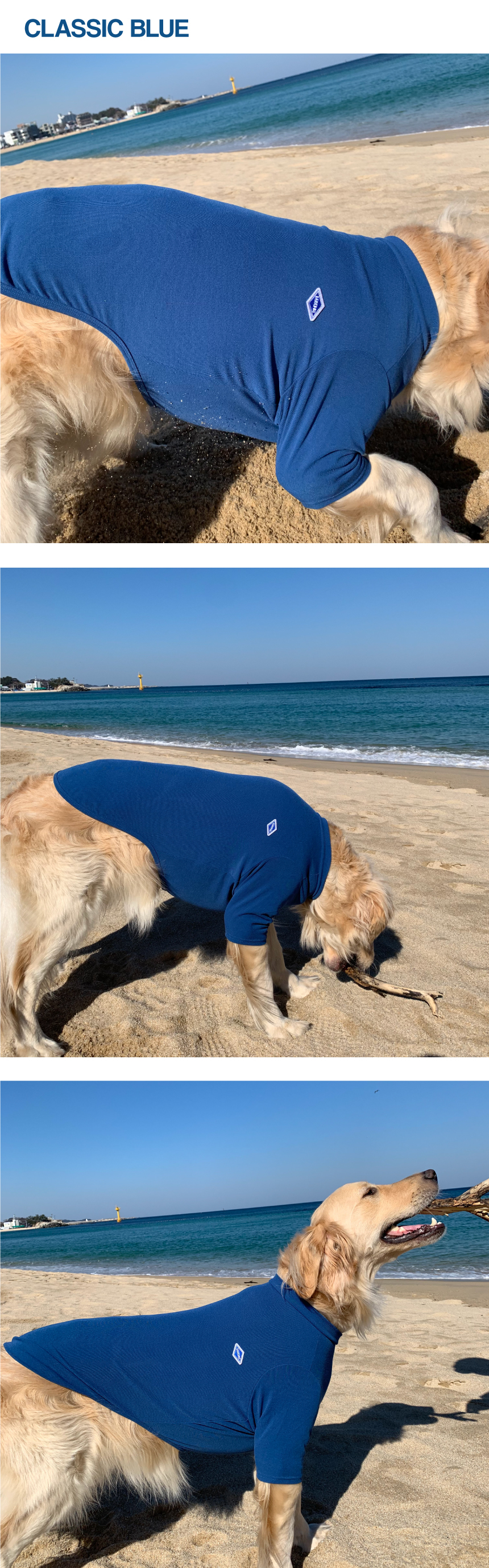 [무료배송] 바크독 비비드 반팔 티셔츠 5color M-6XL 6번째