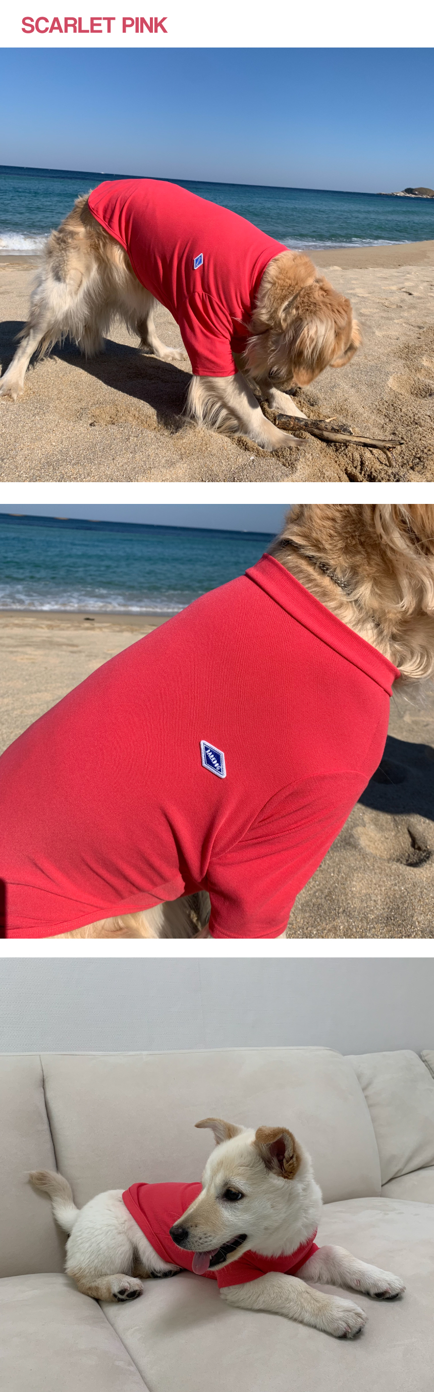 [무료배송] 바크독 비비드 반팔 티셔츠 5color M-6XL 5번째