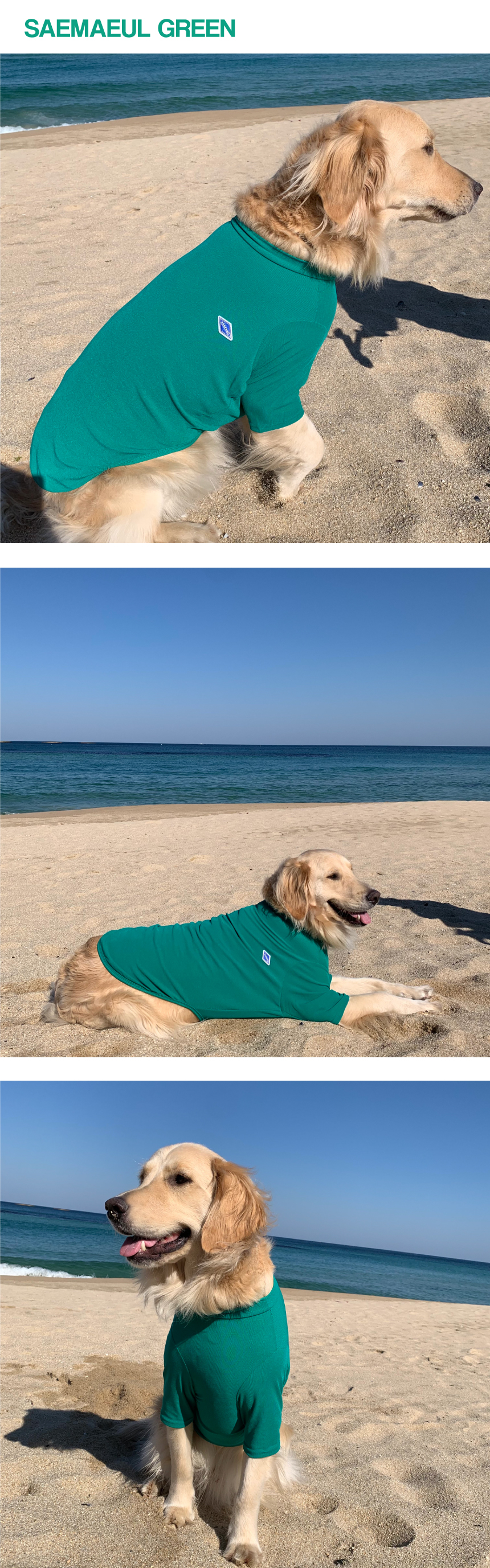 [무료배송] 바크독 비비드 반팔 티셔츠 5color M-6XL 7번째