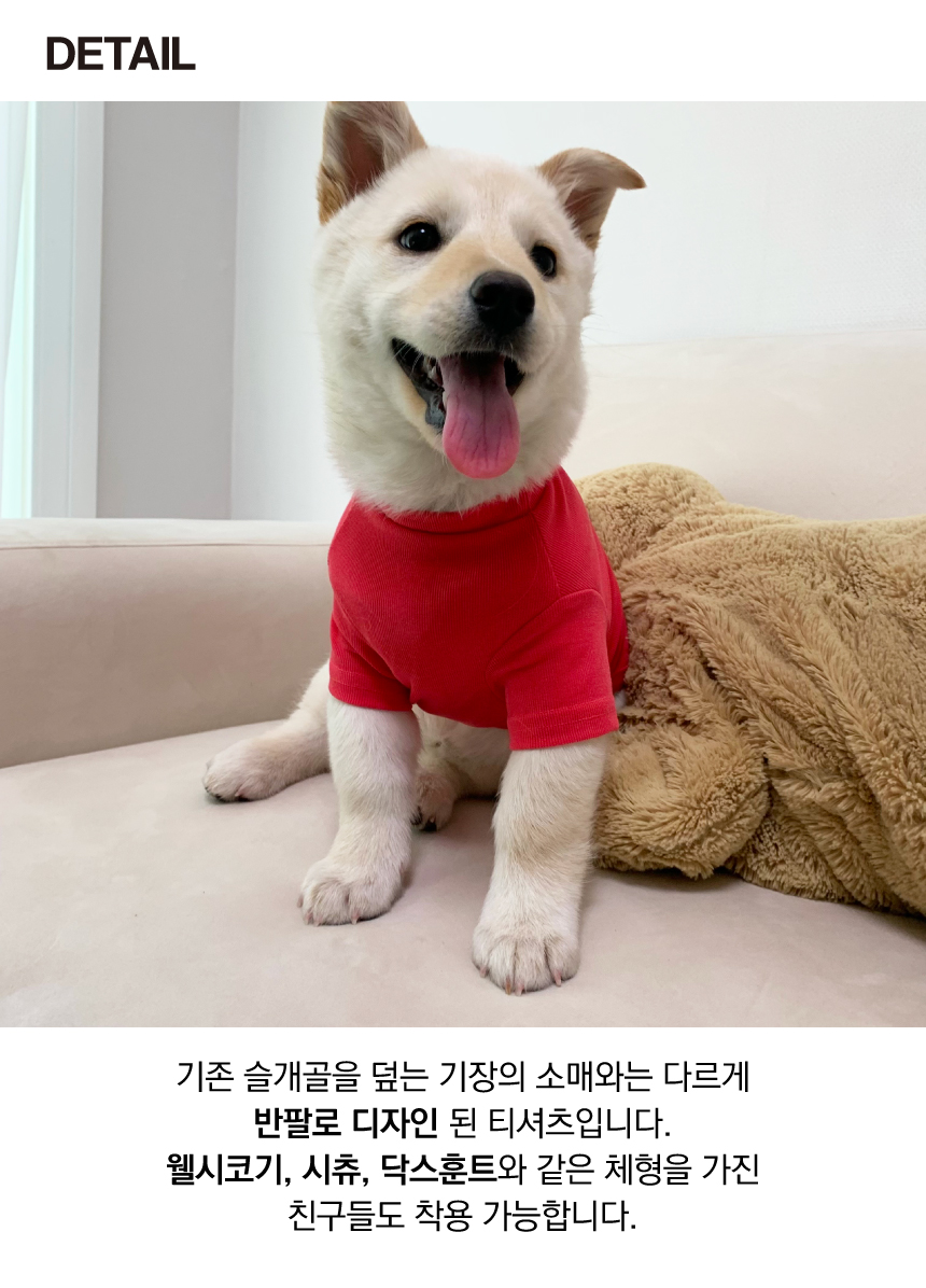 [무료배송] 바크독 비비드 반팔 티셔츠 5color M-6XL 4번째