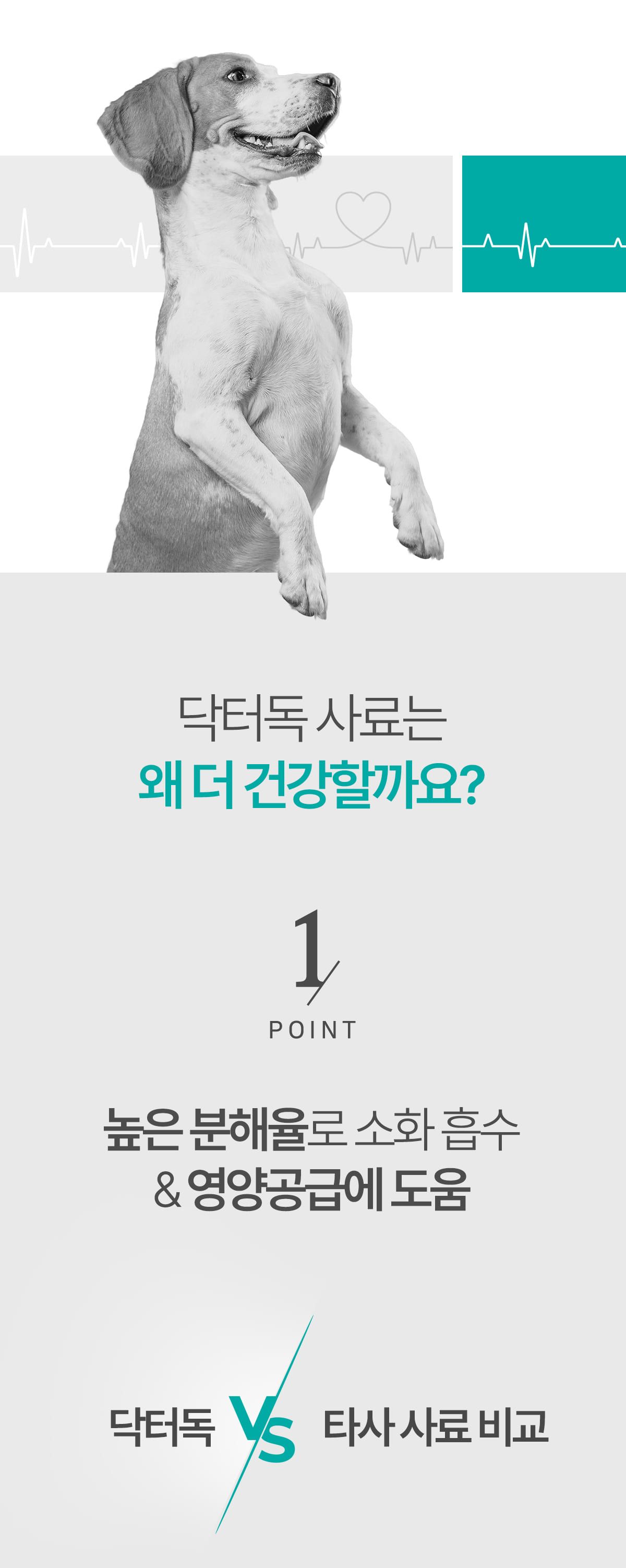 [사료샘플] 닥터독 다이어트 사료 250g 7번째