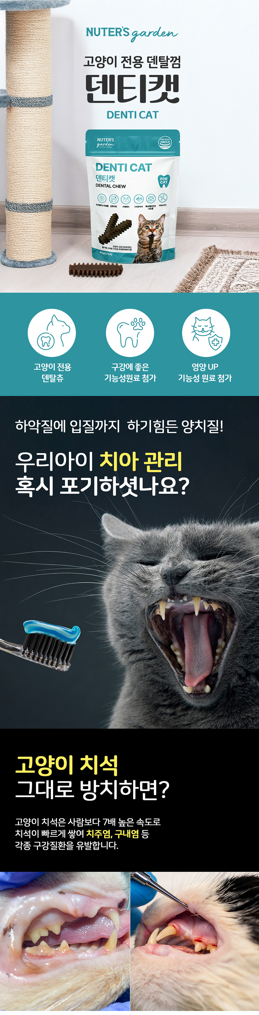 [무료배송] 누터스가든 덴티캣 80g 1번째