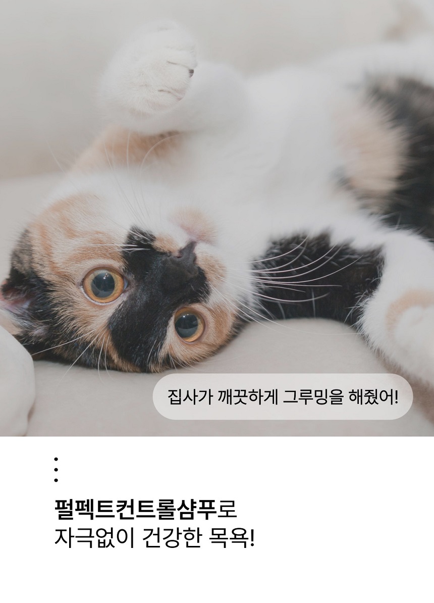[NEW신상][무료배송] 젠트웰브 펄펙트 컨트롤 고양이샴푸 300ml 10번째