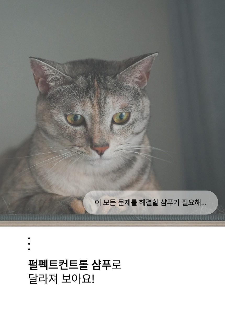 [NEW신상][무료배송] 젠트웰브 펄펙트 컨트롤 고양이샴푸 300ml 6번째