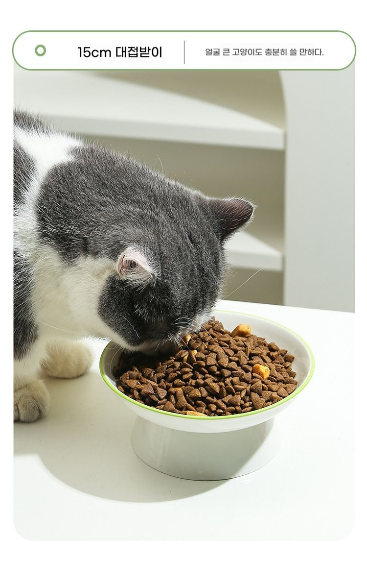 [NEW신상][무료배송] 런롱펫 2구 도자기 식기 세트 11번째