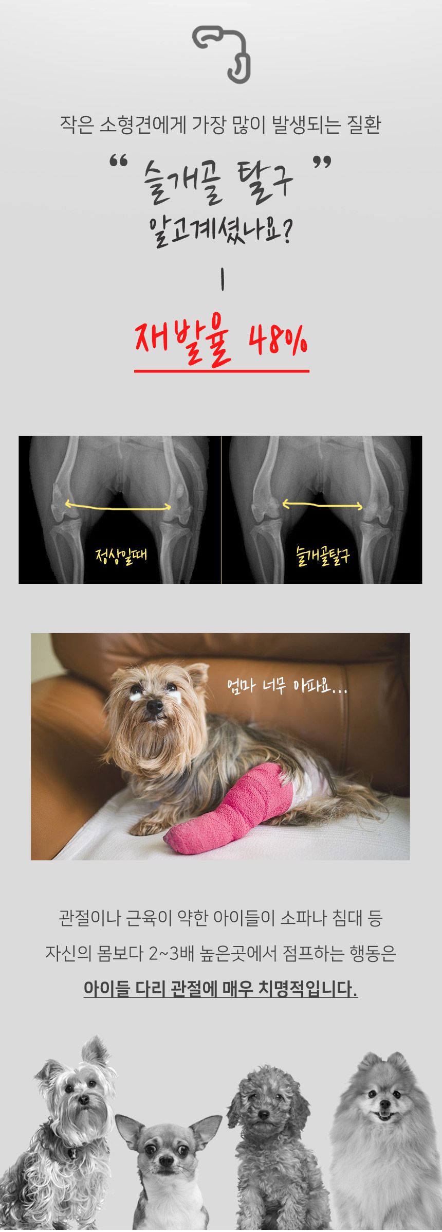 [무료배송] 초코펫하우스 어닝 스트라이프 스텝 2단/3단 핑크/네이비/그레이 3번째