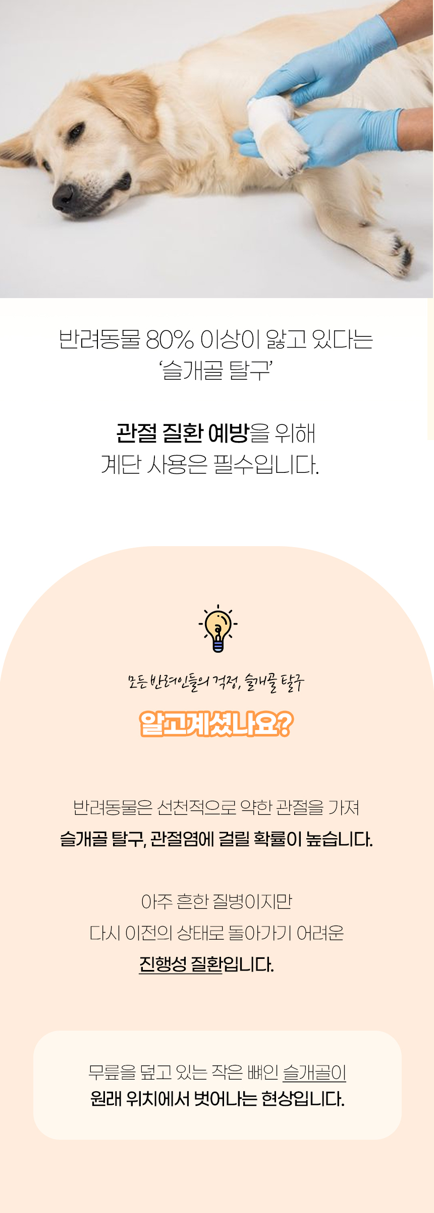 [NEW신상][무료배송] 개과천선 독 M브리 펫스텝 계단 (그레이 블루/아이보리 블루/그레이 핑크/아이보리 핑크/그레이 베이지/아이보리 베이지) 2번째