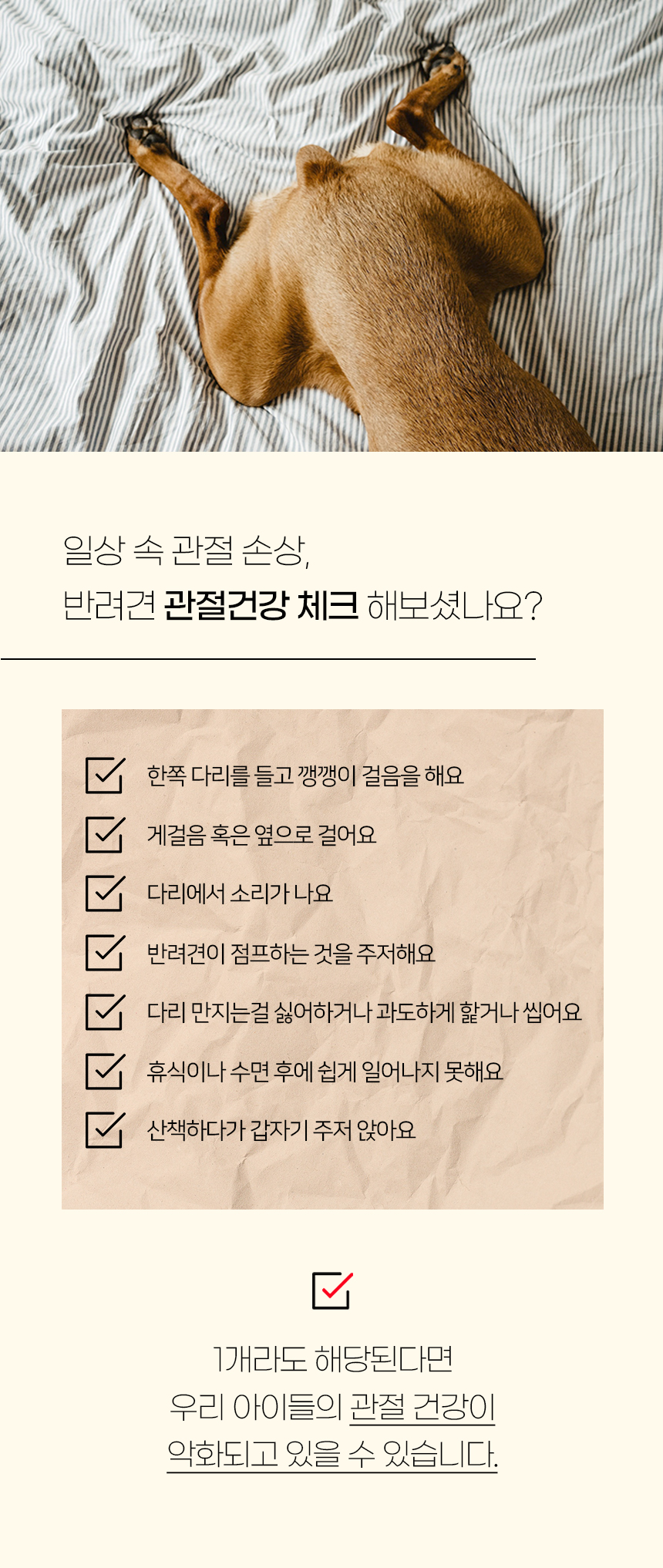 [NEW신상][무료배송] 개과천선 독 M브리 펫스텝 계단 (그레이 블루/아이보리 블루/그레이 핑크/아이보리 핑크/그레이 베이지/아이보리 베이지) 3번째