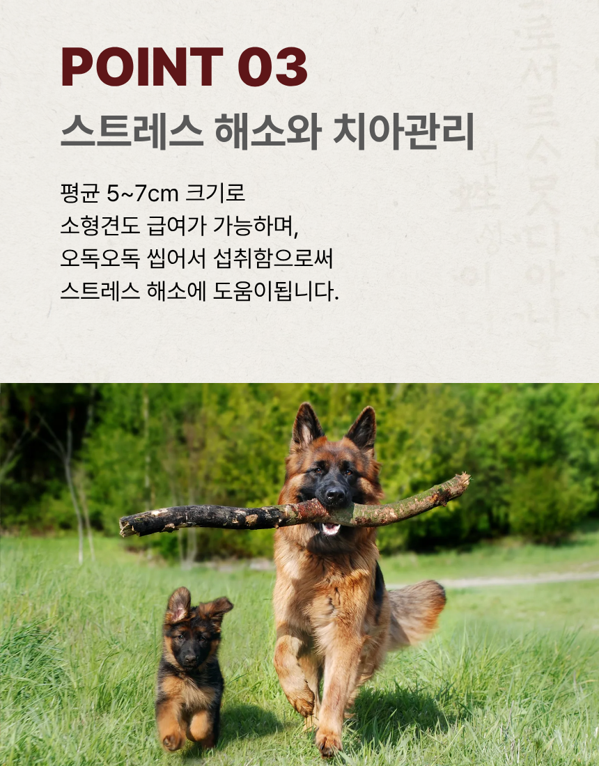 [NEW신상][무료배송] 조선강아지 무첨가 닭가슴살 300g 6번째