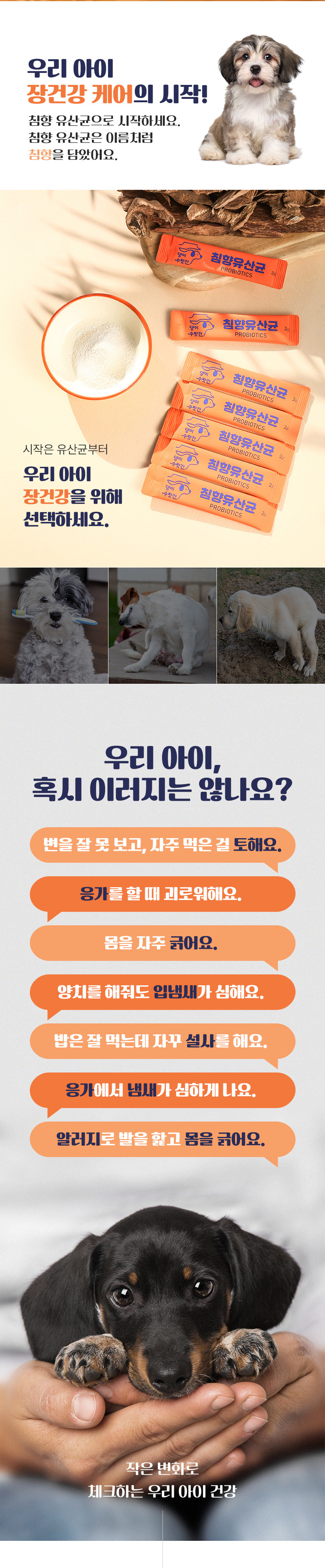 [무료배송] 댕이수랏간 침향 유산균 60g 2번째