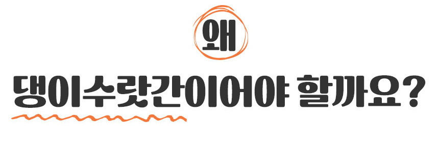 [무료배송] 댕이수랏간 침향 유산균 60g 8번째