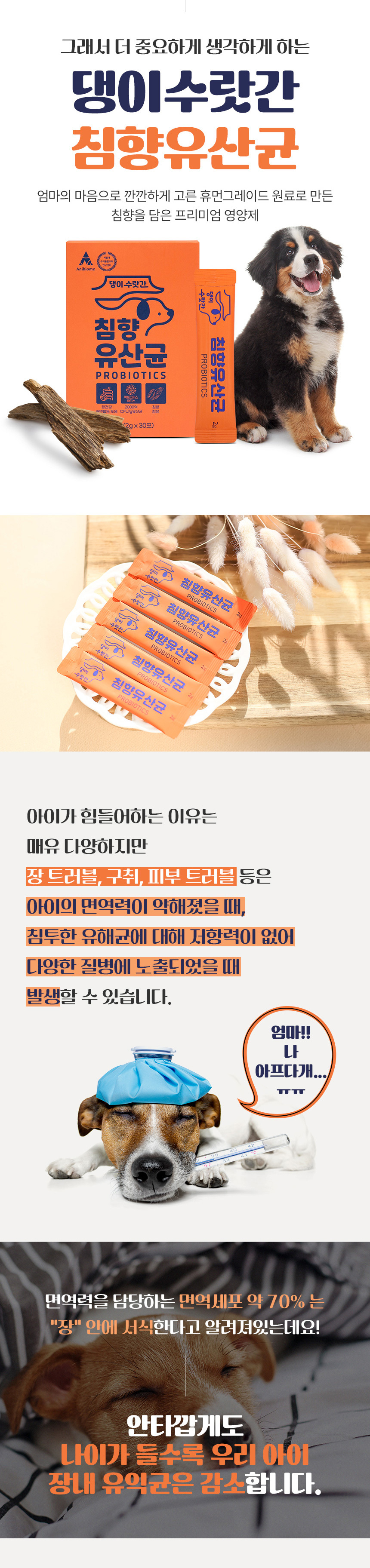 [무료배송] 댕이수랏간 침향 유산균 60g 3번째