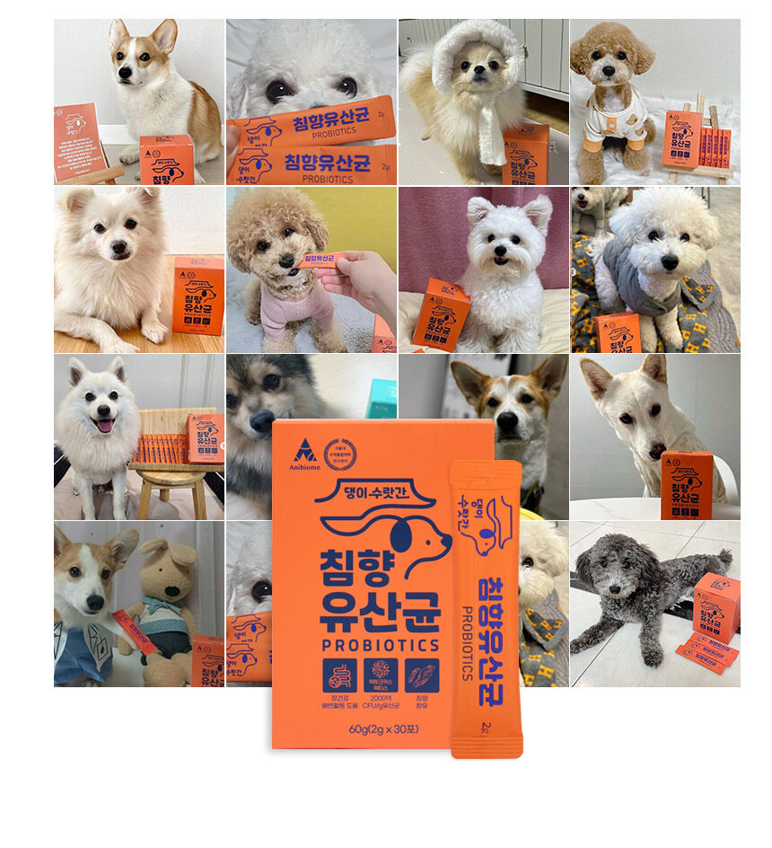 [무료배송] 댕이수랏간 침향 유산균 60g 11번째