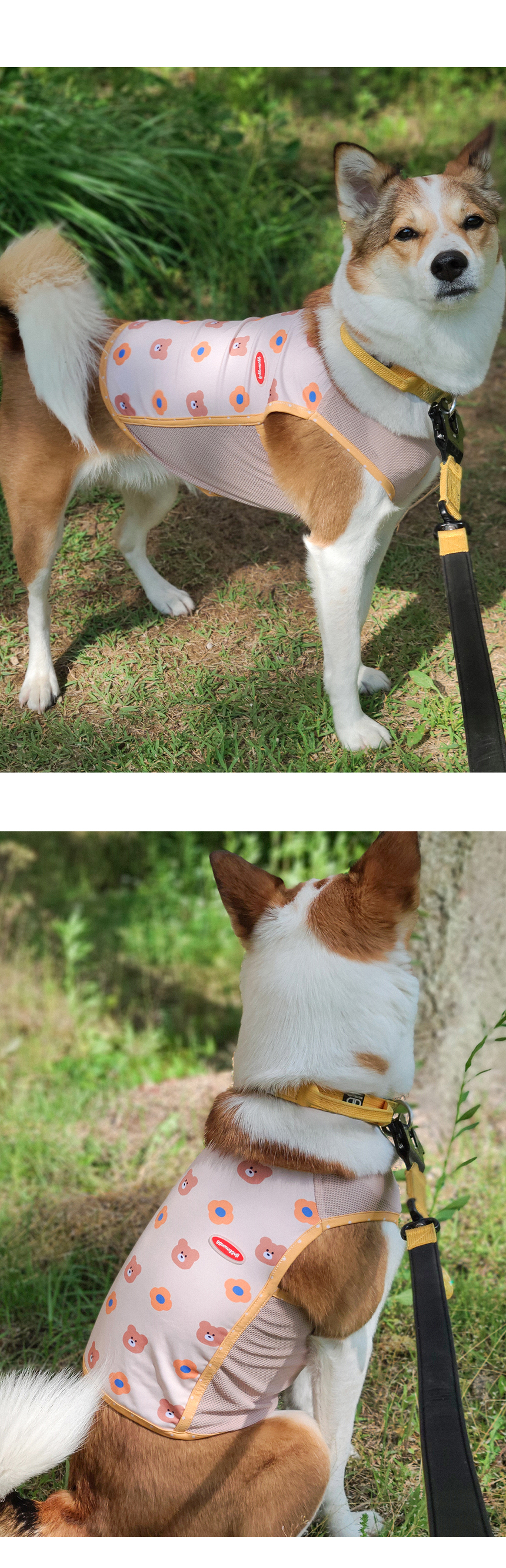 [무료배송] 꾸무꾸지 리틀 테디베어 쿨링 탑 베이지 XS-7XL 4번째