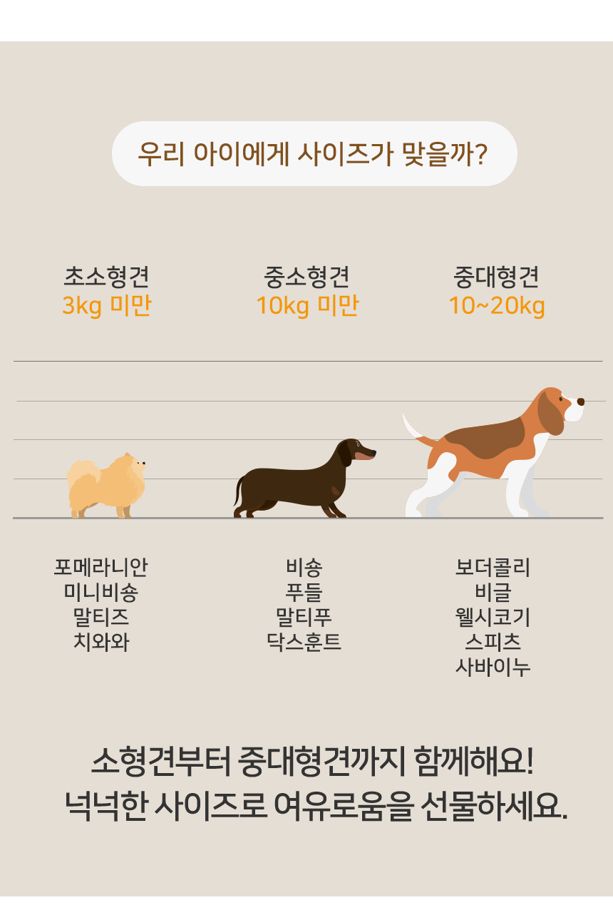 [무료배송] 레토 강아지 해먹 6번째