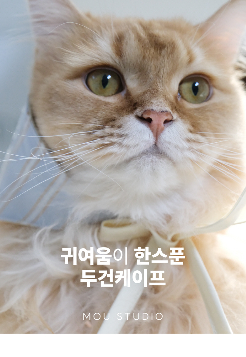 [NEW신상][무료배송] 모우스튜디오 두건 케이프 블루/핑크 1번째