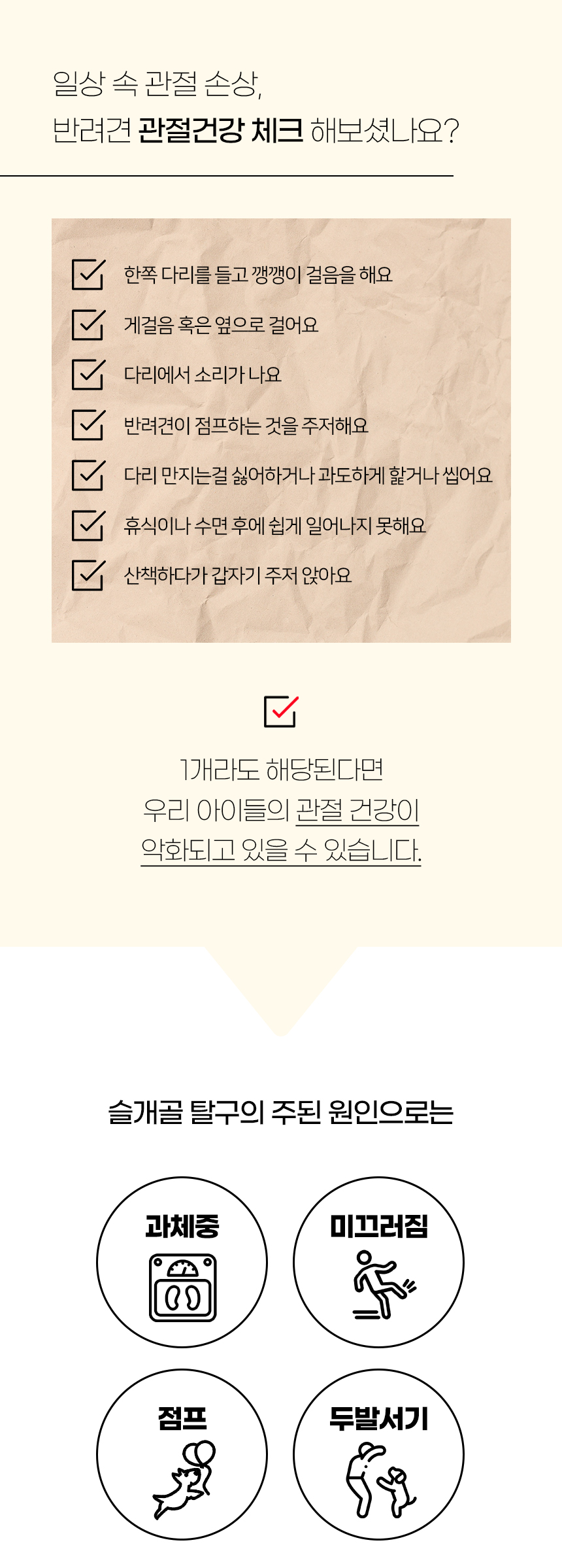 [NEW신상][무료배송] 개과천선 독 이드 슬라이드 펫스텝 계단 (아이보리/실버 그레이) 5번째
