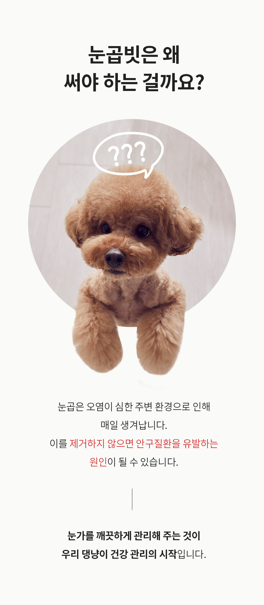 [무료배송] 페리가토 죽은털 제거 눈꼽빗 2번째