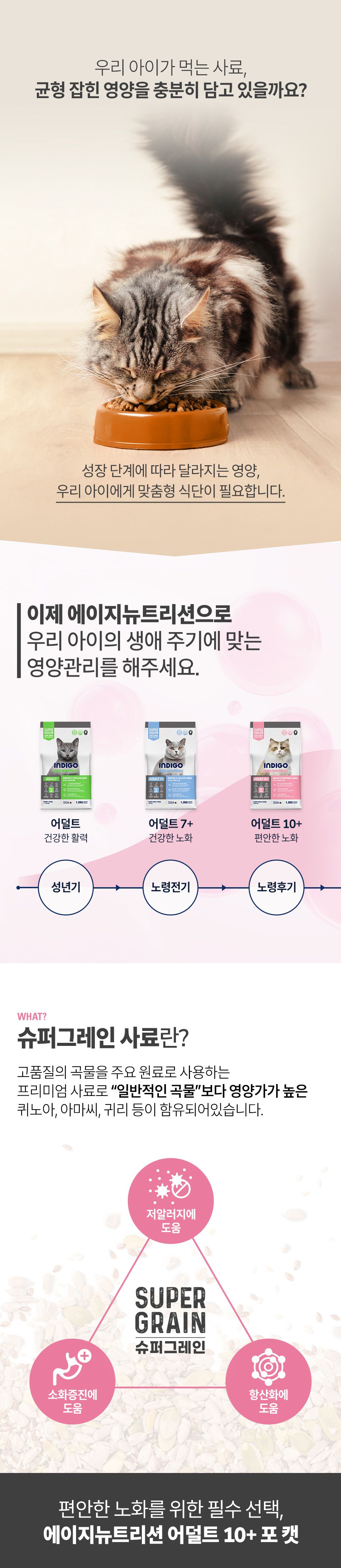 [사료샘플] 인디고 에이지뉴트리션 어덜트 10+ 포 캣 40g 1번째
