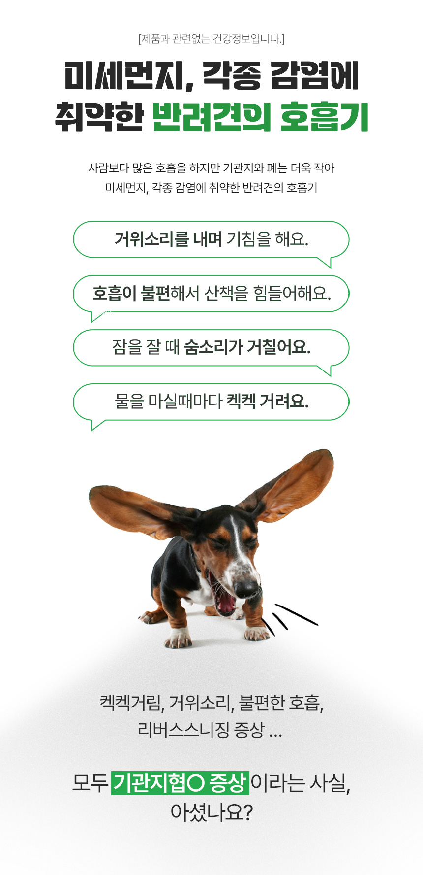 [무료배송] 댕이수랏간 침향 기관지청청 70g 4번째