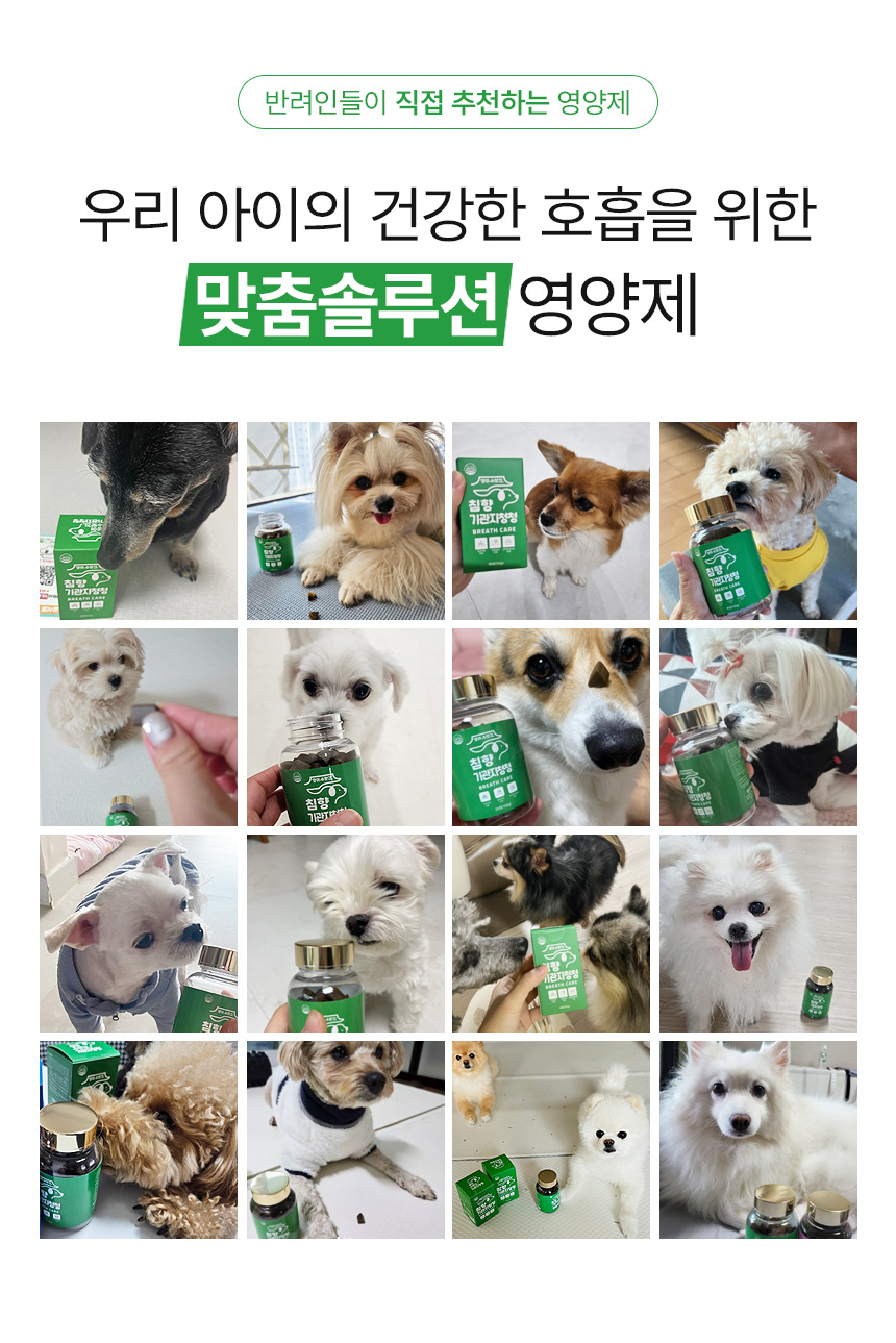 [무료배송] 댕이수랏간 침향 기관지청청 70g 2번째