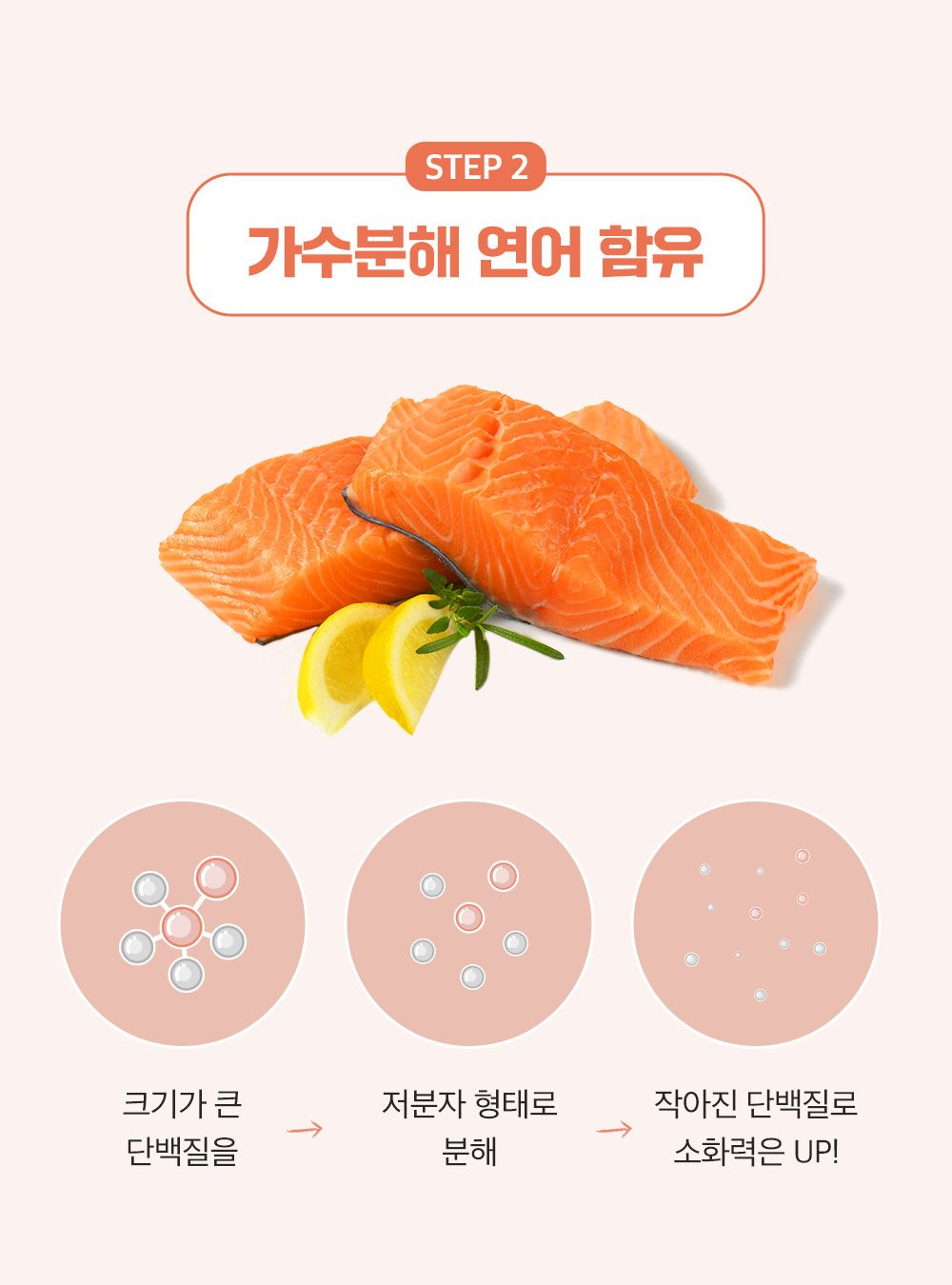 잘먹잘싸 독 기호성 좋은 사료 2kg 7번째