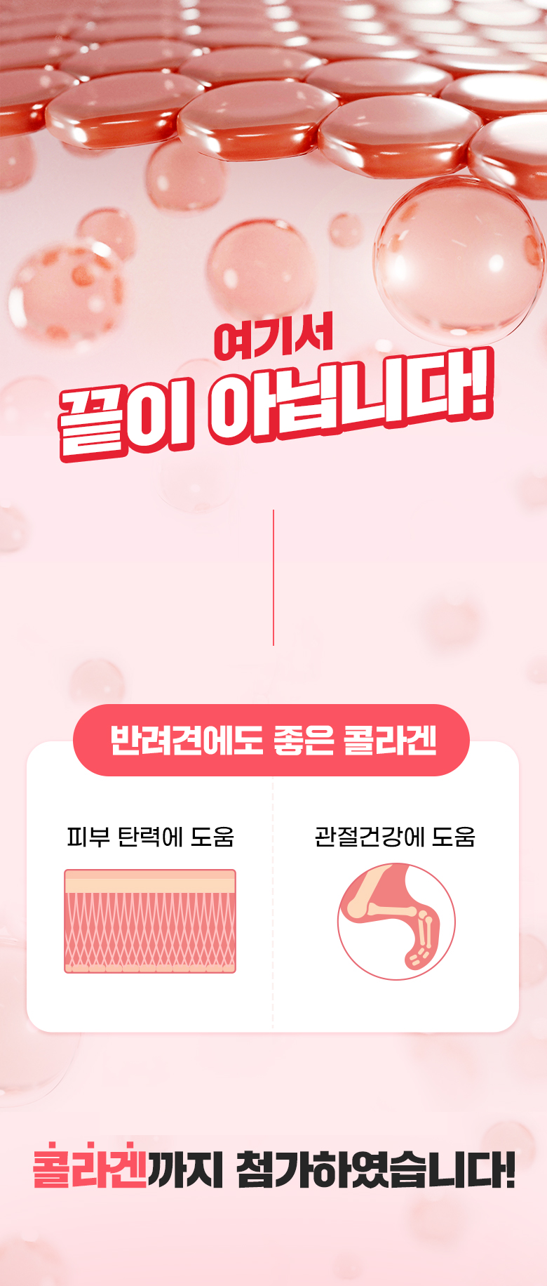 잘먹잘싸 독 기호성 좋은 사료 2kg 11번째