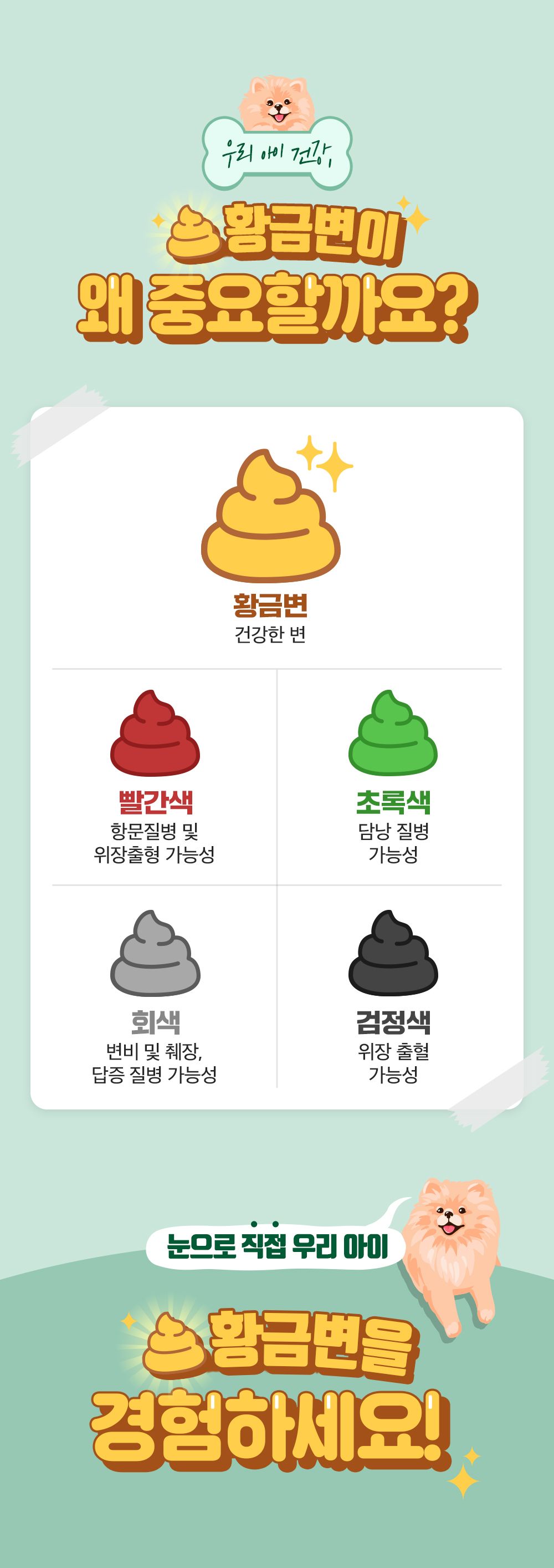 잘먹잘싸 독 기호성 좋은 사료 2kg 4번째