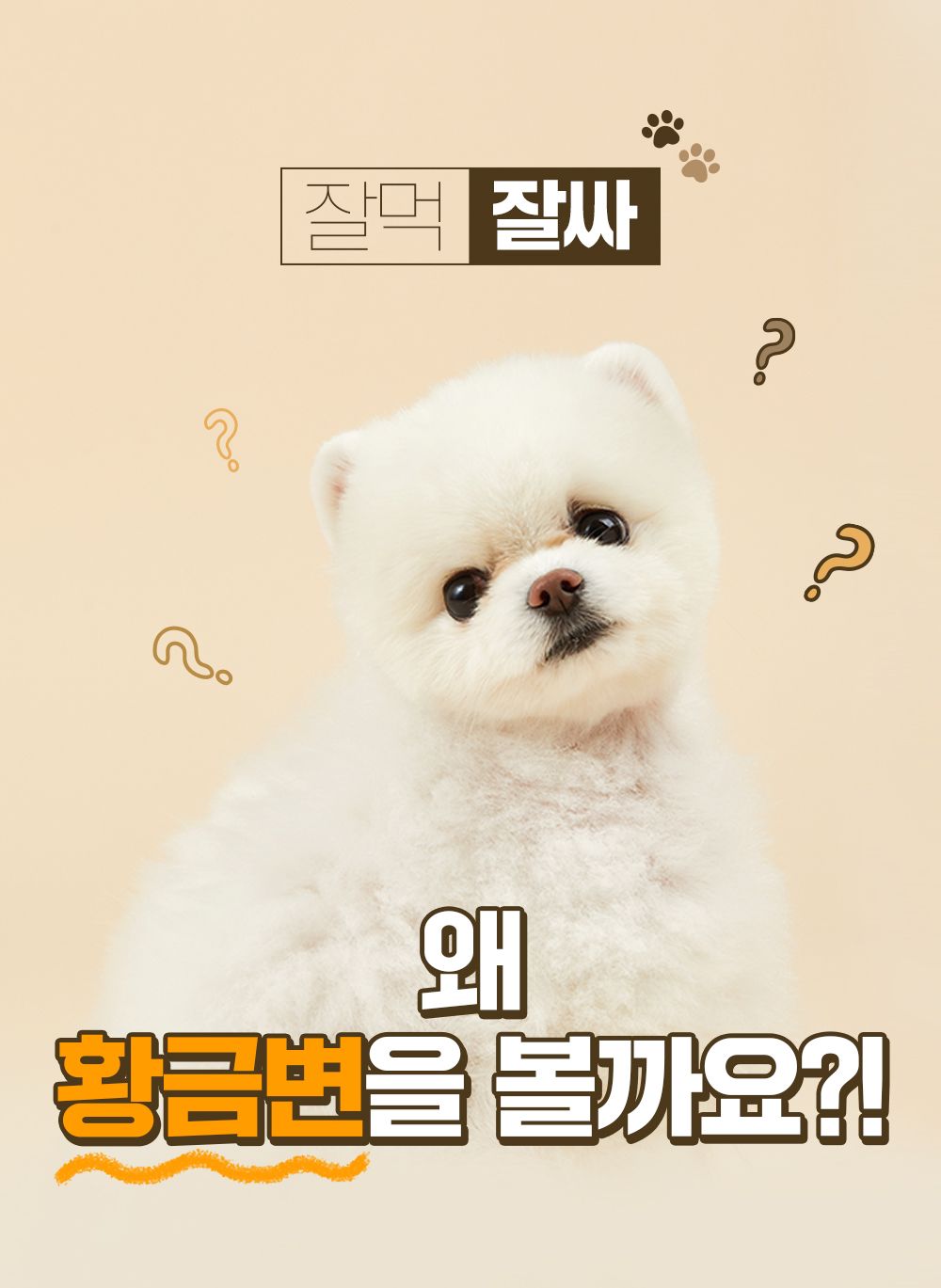 잘먹잘싸 독 기호성 좋은 사료 2kg 5번째