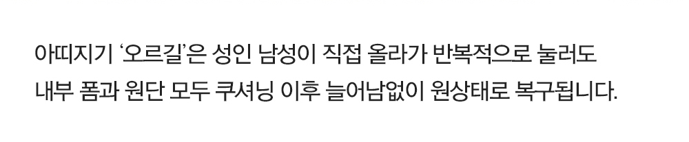 [무료배송] 아띠지기 독 슬개골예방 계단 오르길 스텝 2단/3단 30번째