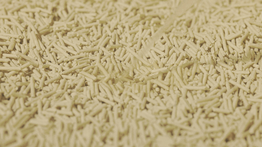 [무료배송] [5개] 3651 365샌드 두부모래 무향 2.0mm 2.8kg 10번째