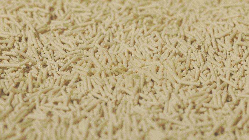 [무료배송] [5개] 3651 365샌드 두부모래 무향 2.0mm 2.8kg 12번째