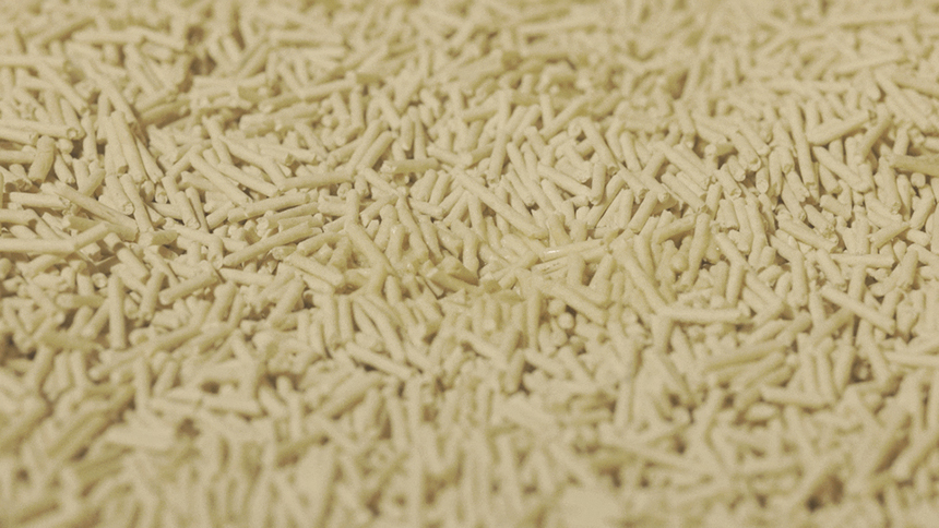 [무료배송] [5개] 3651 365샌드 두부모래 무향 2.0mm 2.8kg 11번째