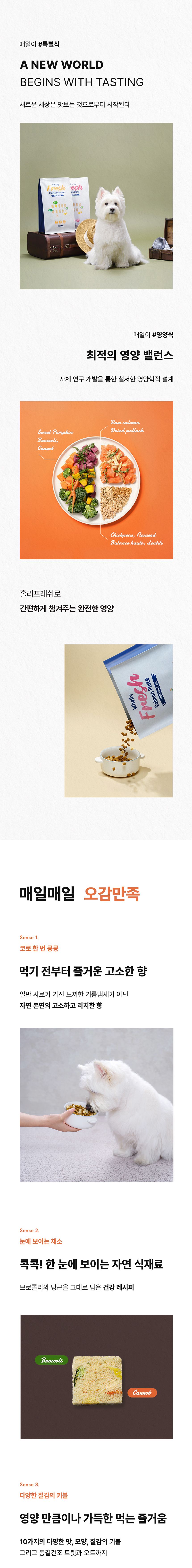 [체험단] [4개] 키츠 독 홀리 프레쉬 살몬 플레이트 트라이얼팩 40g 2번째