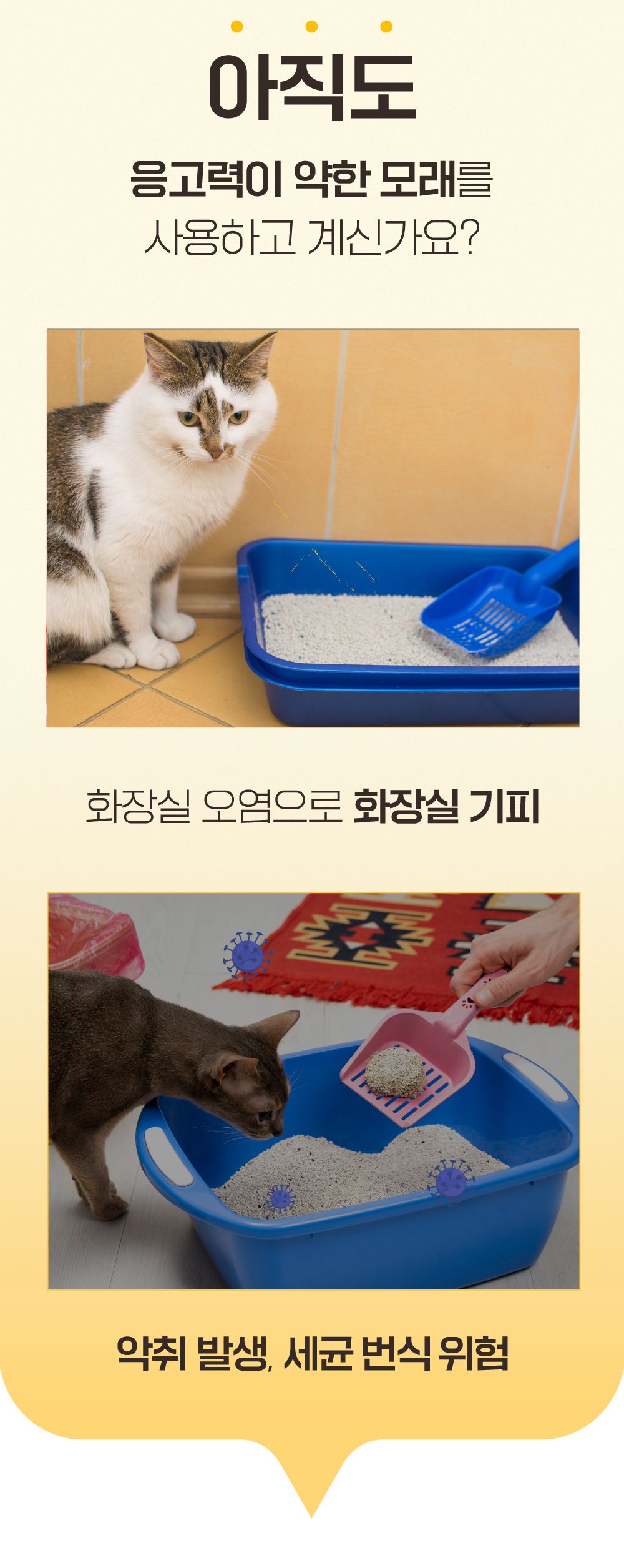 반짝 에코 카사바 모래 굵은입자 5.5kg 11번째