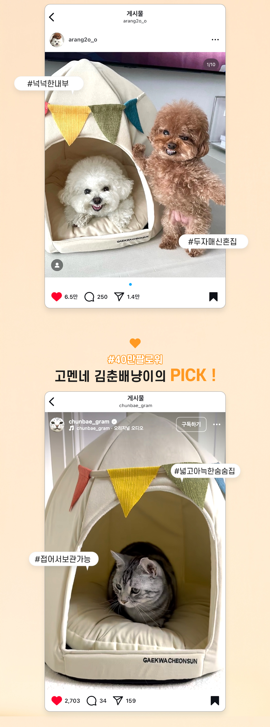 [무료배송] 개과천선 스쿼시 하우스 (크림 아이보리/사파이어 블루) 2번째
