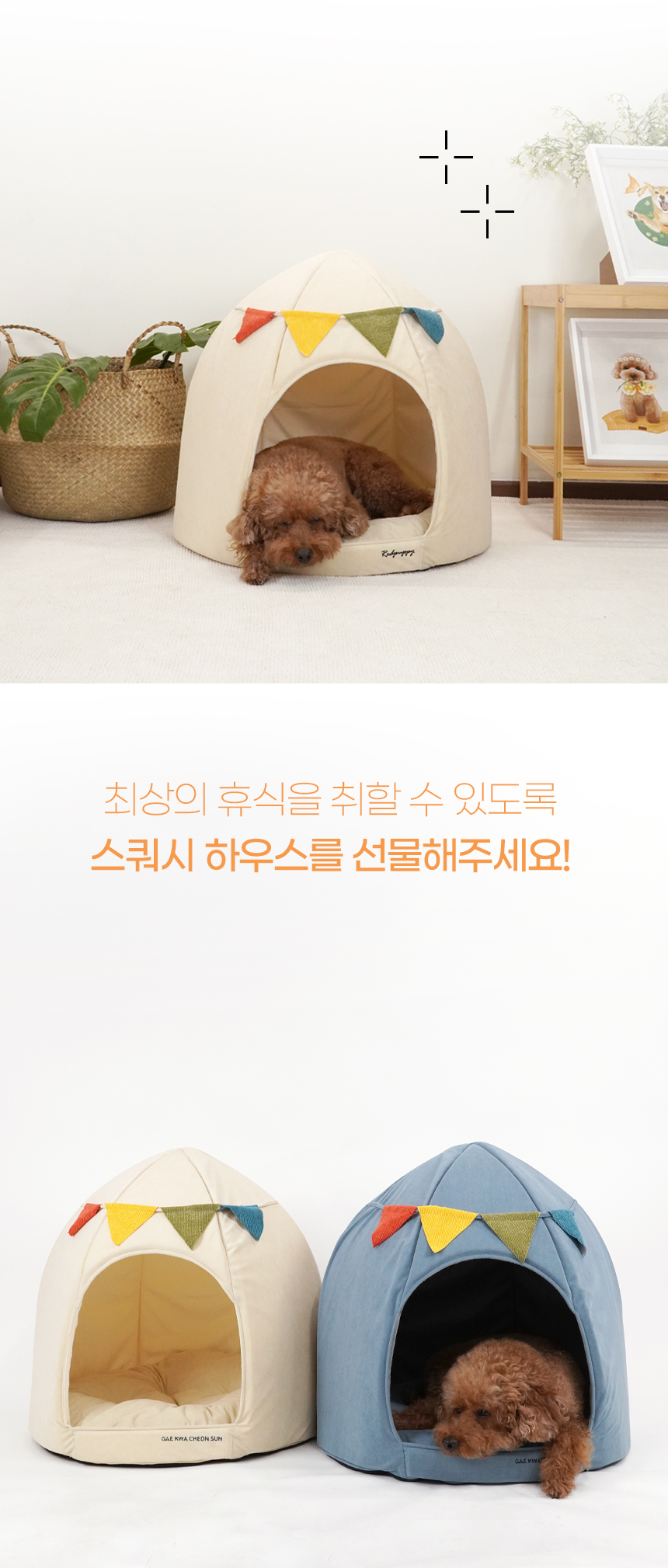 [NEW신상][무료배송] 개과천선 스쿼시 하우스 (크림 아이보리/사파이어 블루) 5번째
