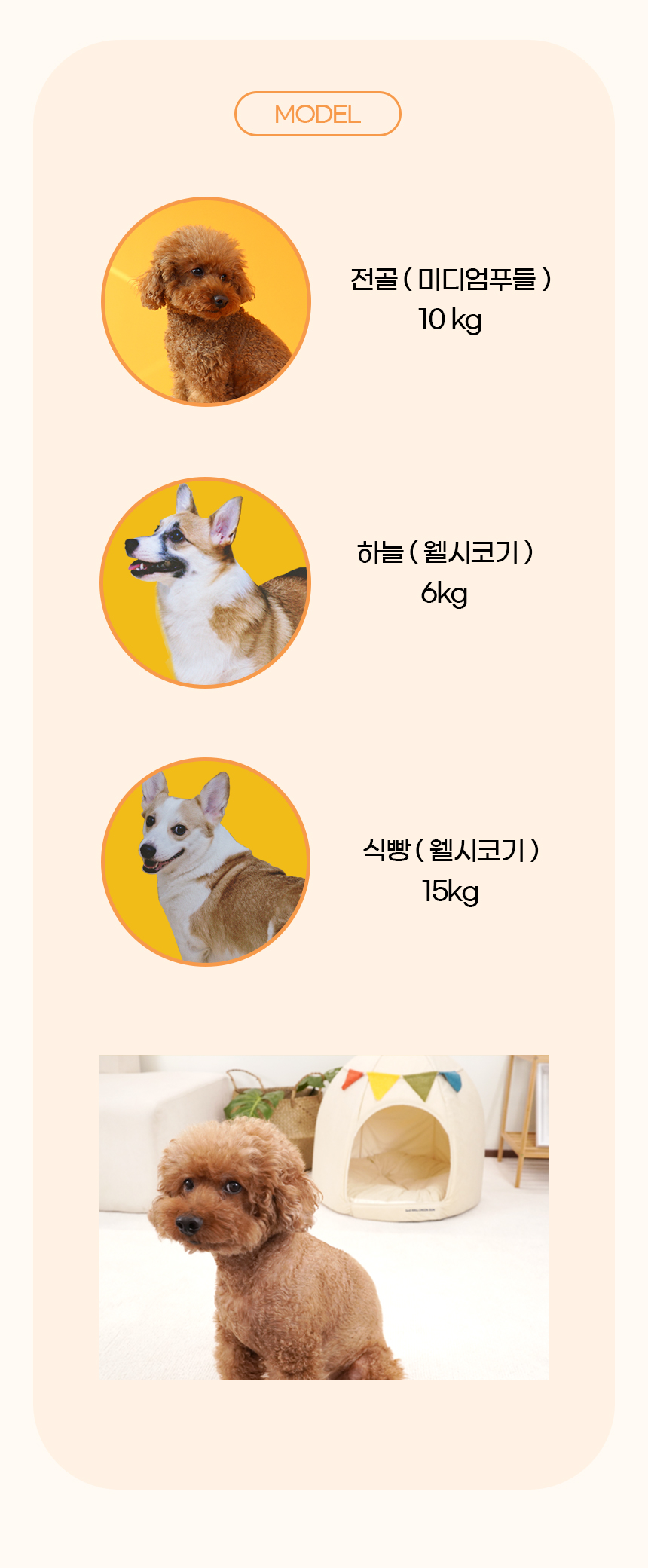 [NEW신상][무료배송] 개과천선 스쿼시 하우스 (크림 아이보리/사파이어 블루) 19번째