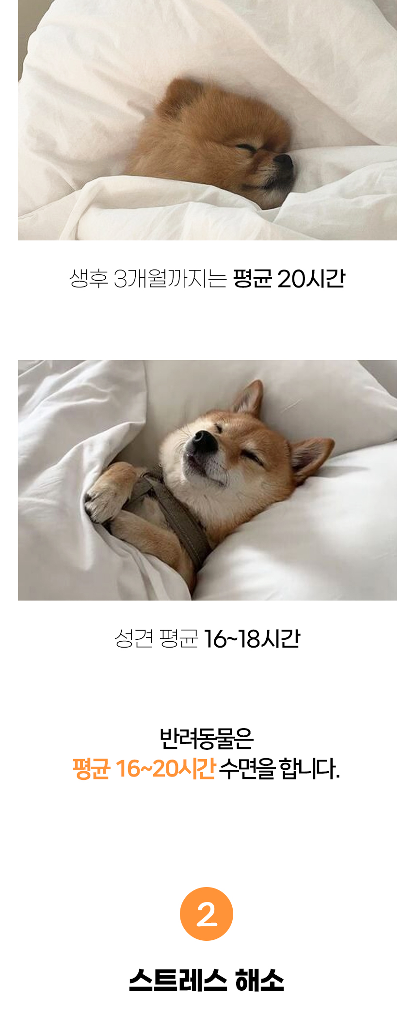 [NEW신상][무료배송] 개과천선 피주 쿠션 (파스텔 그레이/파스텔 핑크/파스텔 블루) 5번째