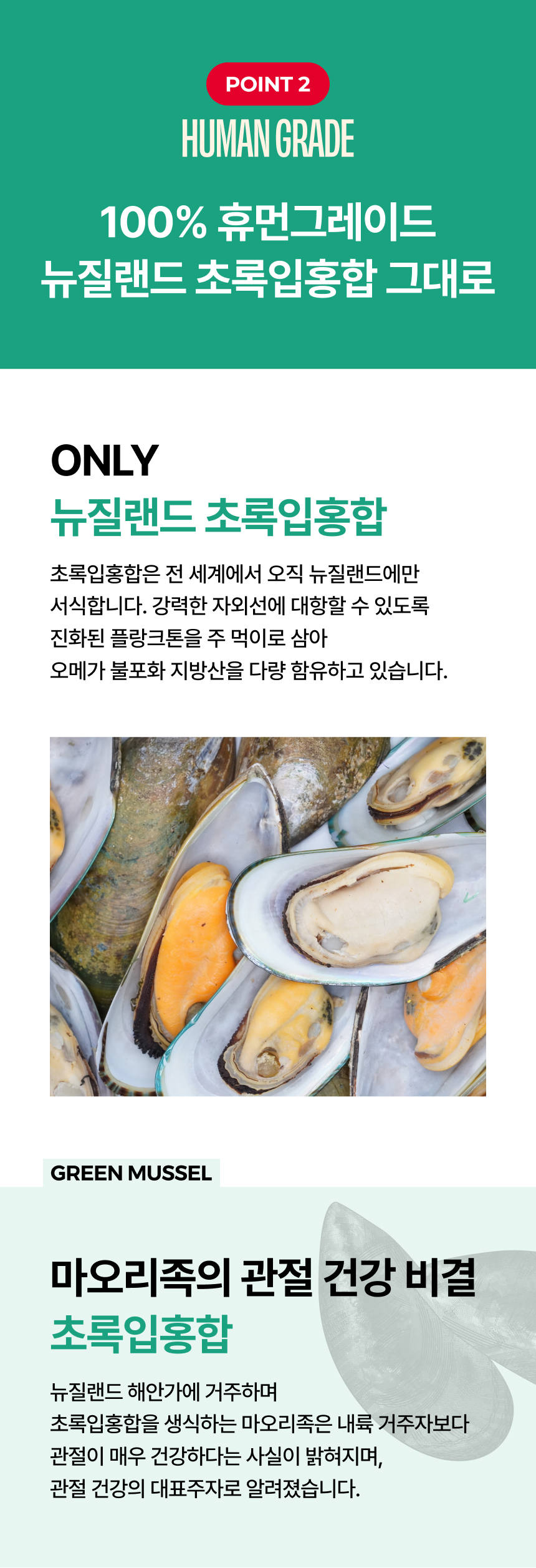 [무료배송] 트러스티푸드 가니쉬 동결건조 초록입홍합 50g 5번째