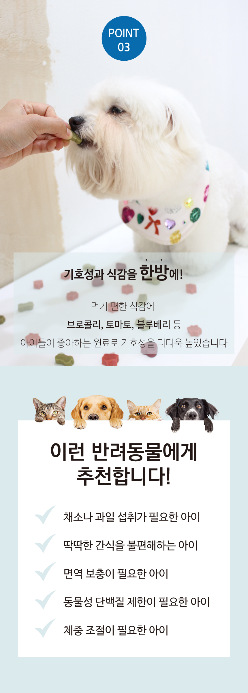 [NEW신상][무료배송] 이프애니멀 담아츄 160g 10번째