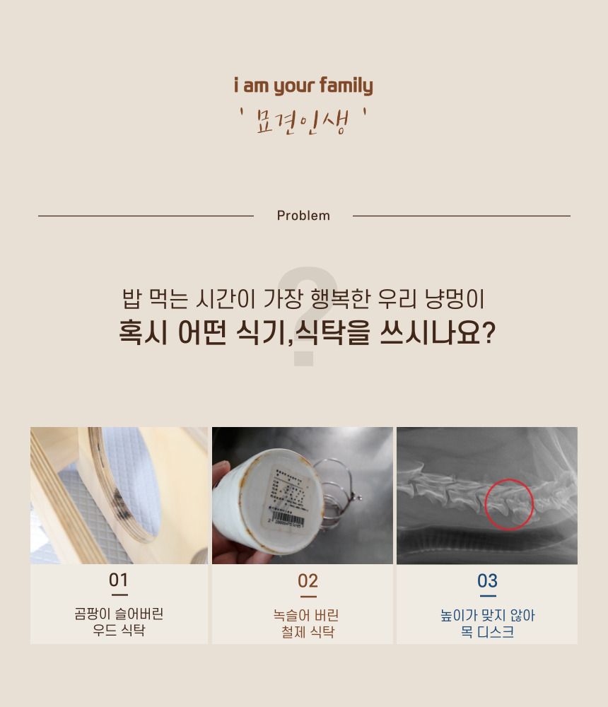 [무료배송] 묘견인생 모던 식기 세트 민트/다크민트 2번째