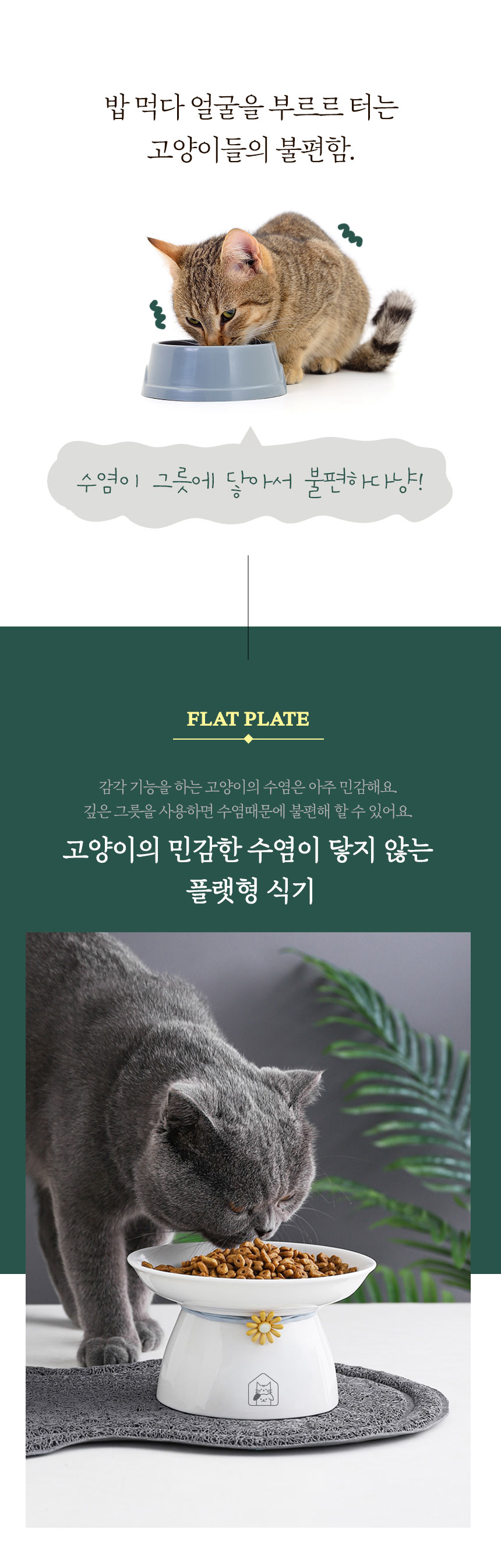멍냥이랑 플랫형 세라믹 식기 2번째