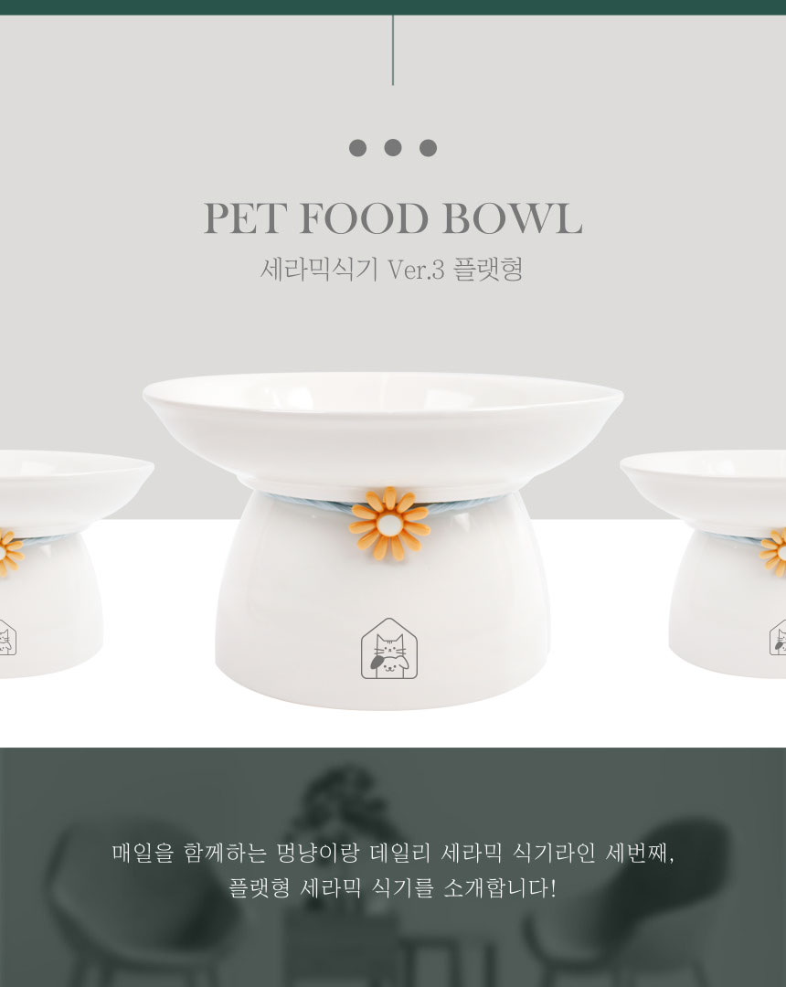 멍냥이랑 플랫형 세라믹 식기 1번째